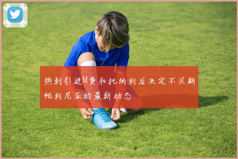 热刺引进M费和托纳利后决定不买断帕利尼亚的最新动态